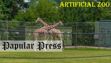 Artificial Zoo