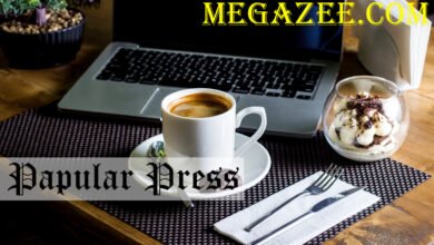 megazee.com